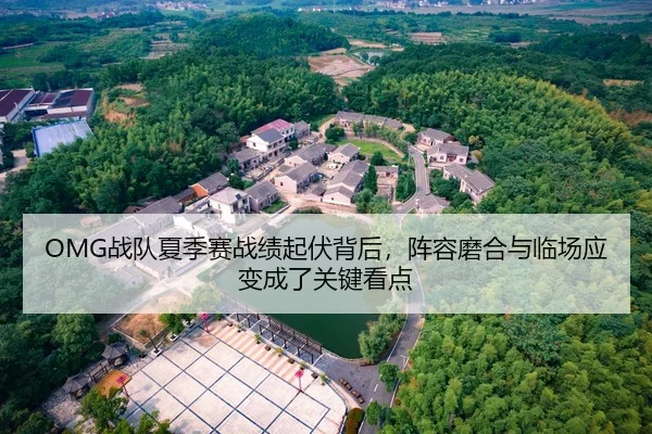 OMG战队夏季赛战绩起伏背后，阵容磨合与临场应变成了关键看点